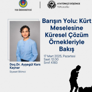 Küresel Çözüm Örnekleri