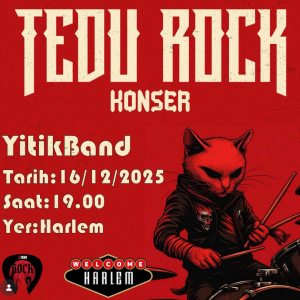 TEDU ROCK Konseri