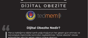 Dijital Obezite